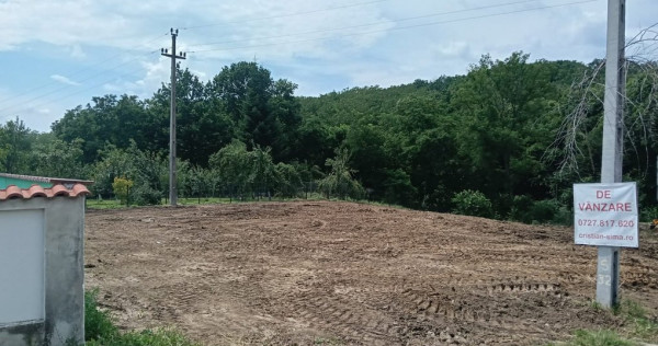 Intravilan Tiparesti, relaxare aproape de padure