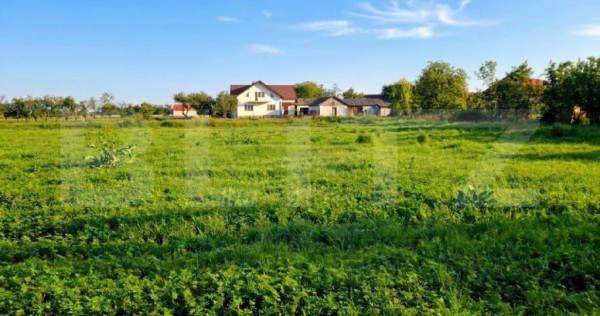 Teren Intravilan 1146mp, ideal case, toate utilitățile, ju