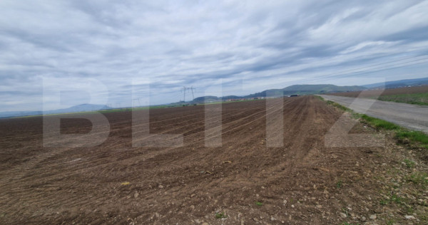 Teren agricol - 18000 mp - Harman - Dn 11 - pretabil agricol
