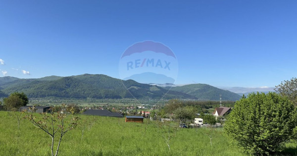 Teren Bistrita / Plopusor