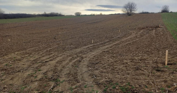 Teren intravilan,433mp, 21.6m deschidere,la 1.5km de gara lu