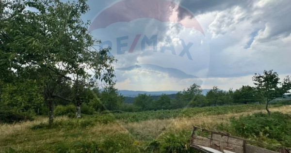 Teren pe deal cu vedere panoramica Halmagiu - Sat Brusturi