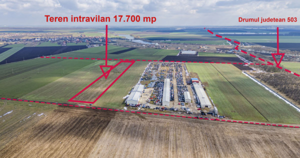 Teren intravilan Belciugatele*300 m de DN*Linie de tensiune