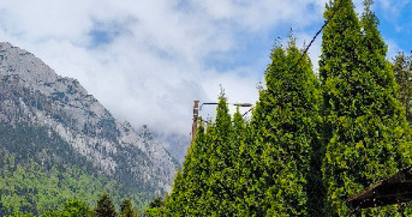 Teren si casa la rosu de vanzare in Busteni