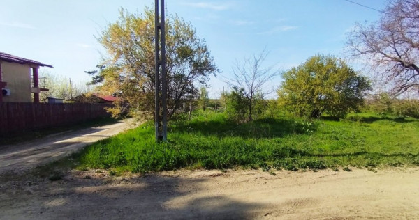 Teren intravilan de v&acirc;nzare &ndash; Grădiștea, Ilfov, Alee...