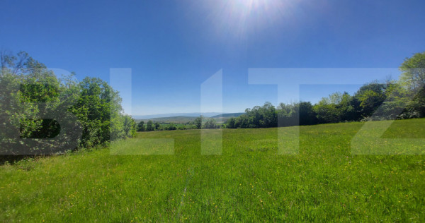 Investiție &ndash; 3,6 ha Glamping, Pensiune sau Centru Ecvestr