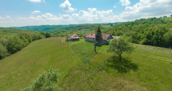 De v&acirc;nzare casă cu teren și pădure 55706 mp - Șinteu...