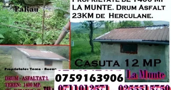 La munte Teren de 1400 MP.Cabana 11 MP