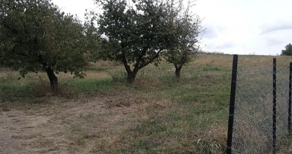 Teren intravilan Chicerea Două parcele de 855 mp și 1420 mp