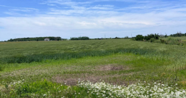 Teren intravilan, 1200 mp &ndash; C&acirc;rcea, zona Veropan (Depozit