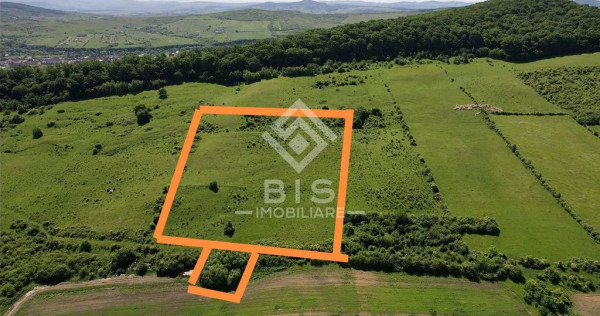 Teren Valea - Stanelor 21.600 mp