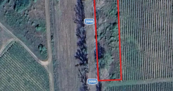 Teren Intravilan 2240 mp Satu Nou (&icirc;ntre Jariștea și Odobești)