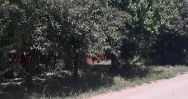 Vand casa locuibila Izvoarele