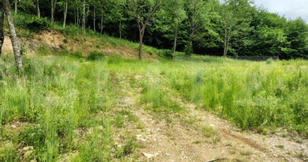 Teren zona de munte 1800 mp, cu apa de izvor, la Somesu Rece