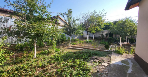 Casa Individuala - Soseaua Alexandriei - Curte generoasa