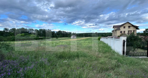 Teren intravilan, 5000 mp, Barsesti