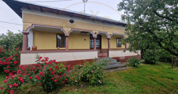 Gospodarie autentic romaneasca-Lunca Corbului, Ciesti!