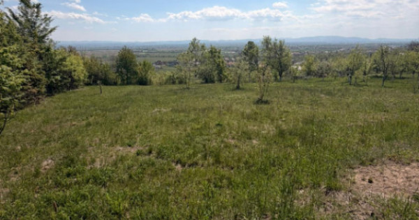 Teren intravilan 14 ari - Buzesti