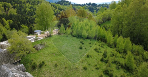 Teren 3,821mp Dambovicioara