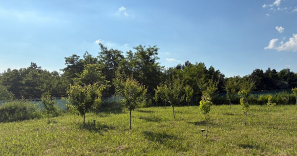 Teren intravilan, 695mp, 28m deschidere,drept, Valea Lupului