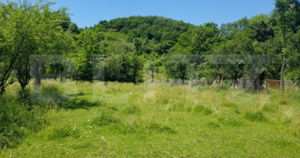 Teren intravilan, 2966 mp &ndash; 3 loturi cu deschidere la DN72