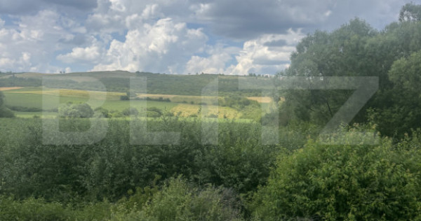 Teren extravilan, la intrare in Zauan