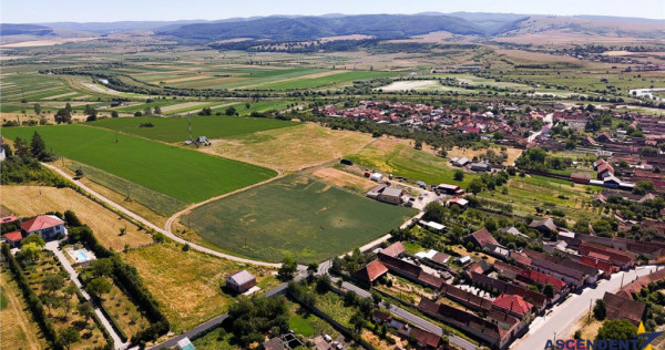 5 loturi casa Maierus,1.375mp,langa DN13, Doripesco,Brasov: