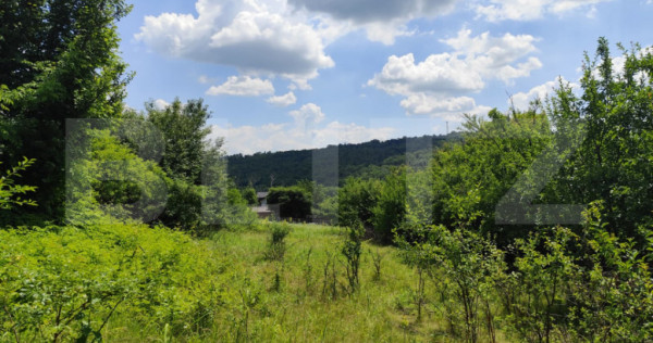 Teren 1200 mp, asfalt, zona 5 Drumuri - Valea Adanca