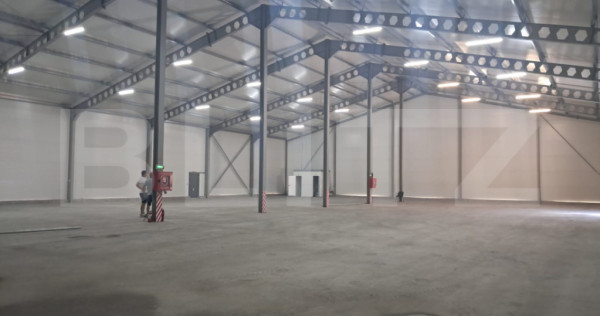 Hală nou construită, 1.260 mp, ideală pentru producție s