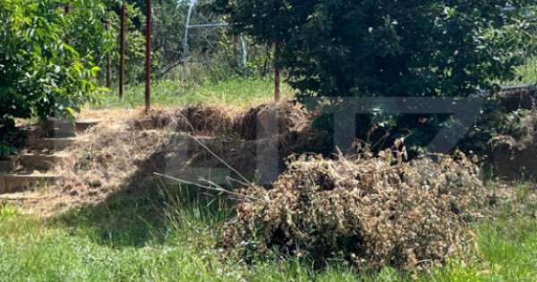 Vand teren in zona de dealuri Oradea