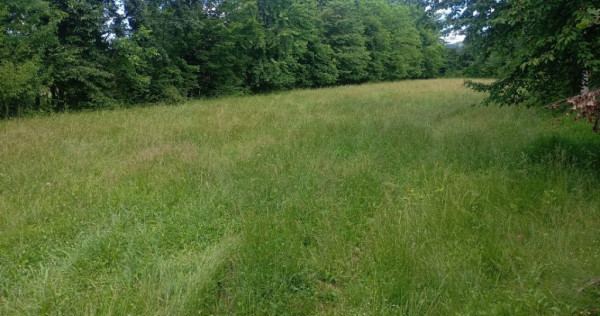 Teren 1773 mp | Prahova | Banesti | Urleta | Campina