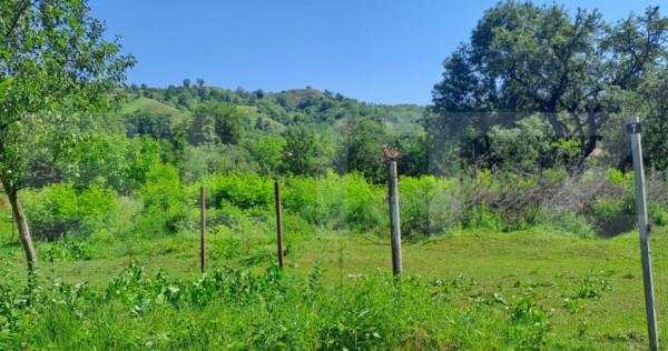 Teren intravilan 1.000 mp cu PUZ, priveliște Munții Făgă