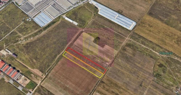 Teren 7500mp-Fundeni Dobroesti