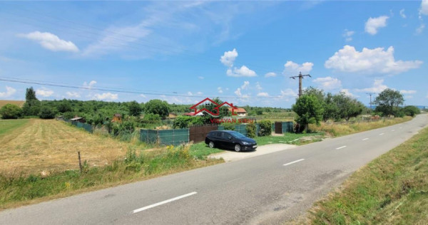 Teren 3100 mp cabana potential investitional Sura Mica Sibiu