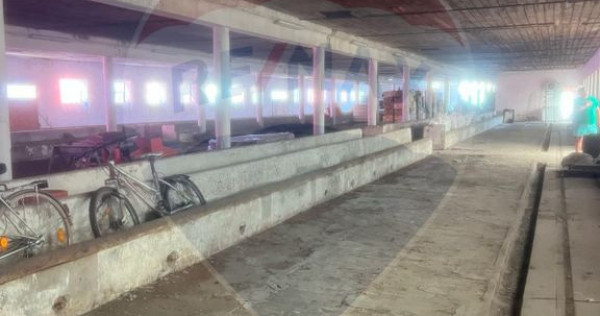 Spațiu Industrial de &Icirc;nchiriat | zona industriala Sofronea