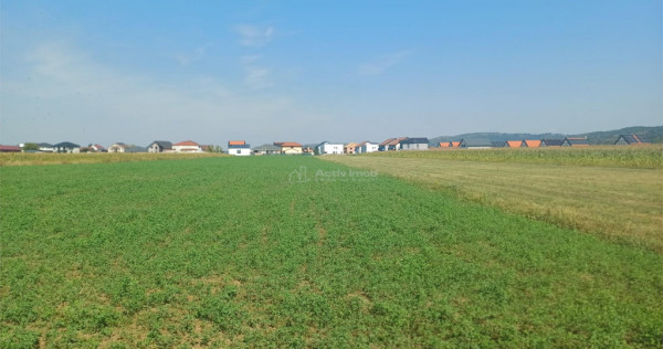 Teren intravilan 2500 mp de