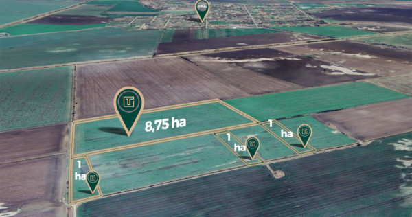 Teren agricol de 11,75 ha de v&acirc;nzare, la 1,5 km de Turnu, j