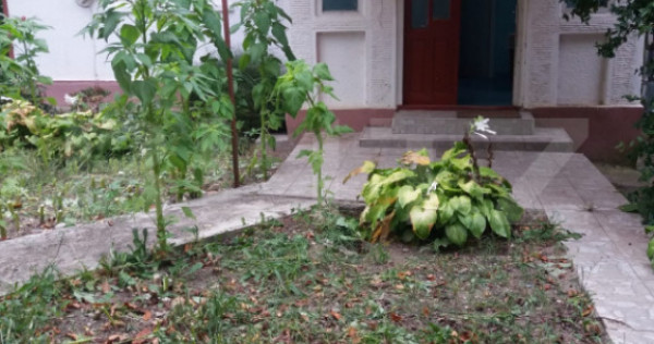 Casa de vanzare, 31 arii teren, Samihaiul de Campie