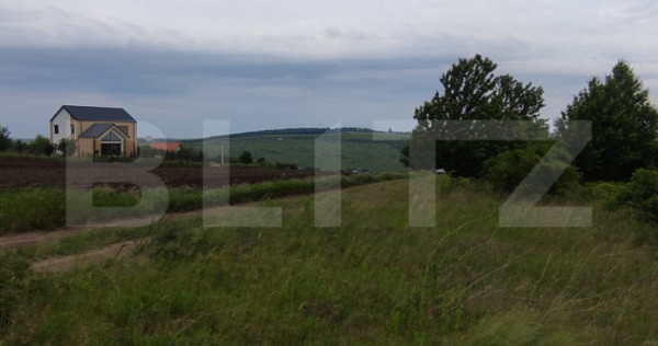 Teren de v&acirc;nzare &icirc;n Valea Lupului &ndash; Strada F&acirc;nt&acirc;ni | 5