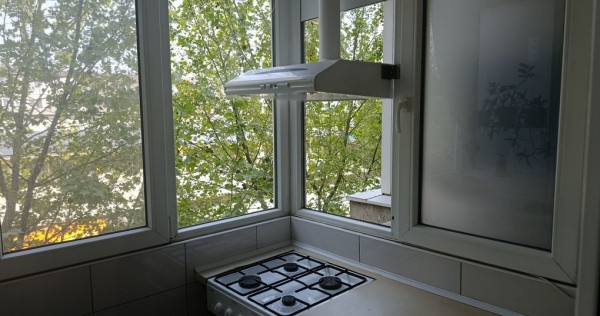 Brancoveanu luica sud park city