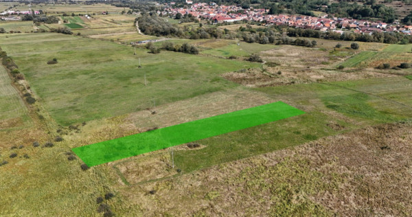 Teren extravilan 2000 mp, zona Selimbar (Mohu)