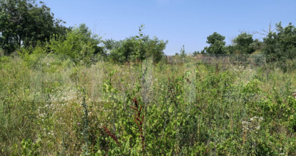 Teren de vanzare, 2.845 mp, zona Craiesti