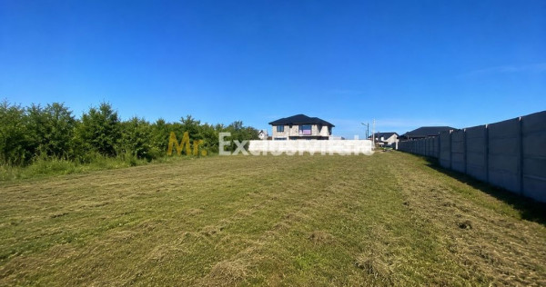 Teren intravilan 530 Mp | Albota