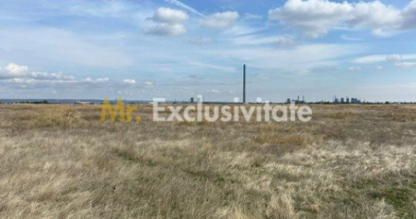 Teren 10000 mp - Albota Papillon, zona industriala in pli...