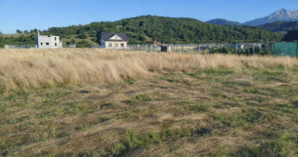 Teren intravilan 1000 mp Rasnov