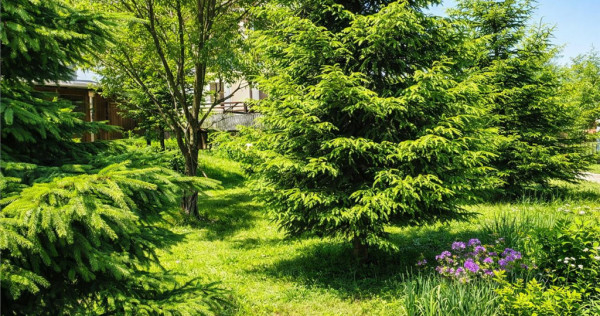 Locatie cu patru anotimpuri intr- o zi, incadrata de 2.350 t