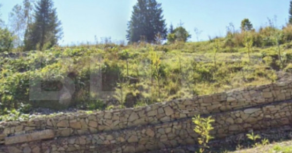 Teren intravilan, 5.000 mp, zona C&acirc;mpulung Moldovenesc