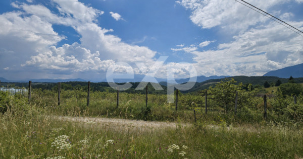 PANORAMA POIANA MĂRULUI | Teren cu potențial de dezvoltare