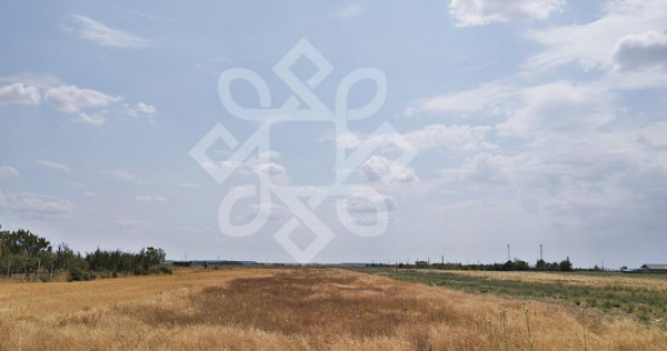 Teren intravilan de vanzare, 3000 mp in Gepiu, Bihor