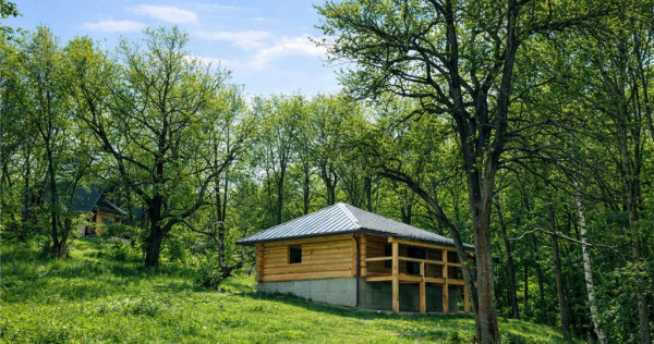 3.000mp de incantare montana cu cabana din lemn masiv, Zarne